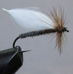 ���� CDC 025  puff caddis white / brown � 12 long  